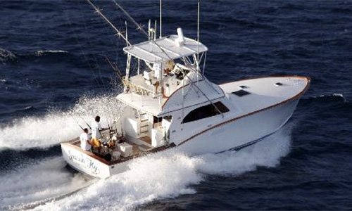 Spanish Fly - 42' Maverick