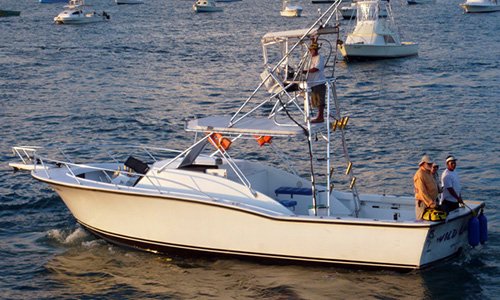 Wild Lady - 34' Ocean Master